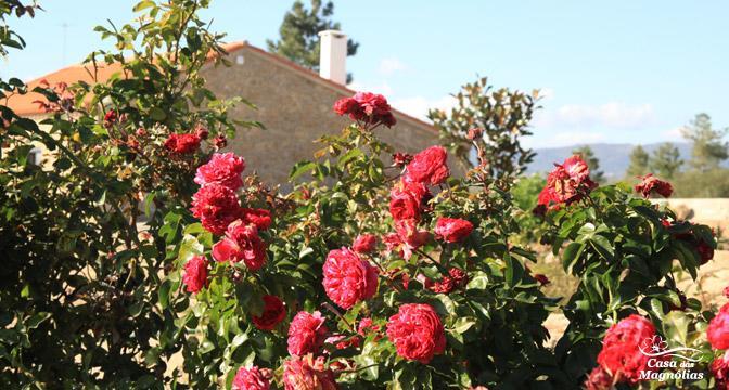 Casa Das Magnolias Pensjonat Fundão Zewnętrze zdjęcie